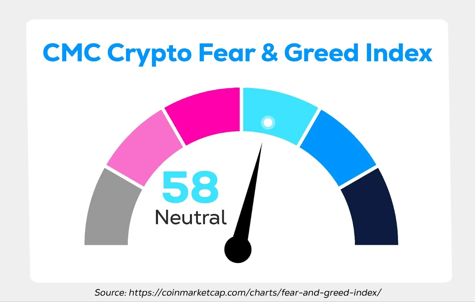 Wayex Weekly Update: Whales, wins and Congress?