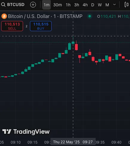 Wayex Weekly Wrap: Bitcoin Breaks Records. Crypto Gains Political Traction. Pizza for a Billion?