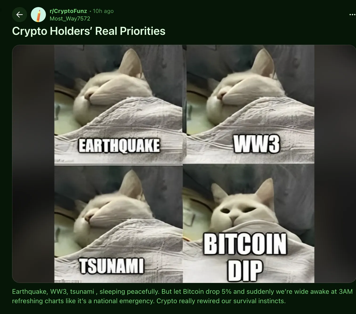 Wayex Weekly Wrap: Bitcoin Finds Strength As Global Tensions Rise