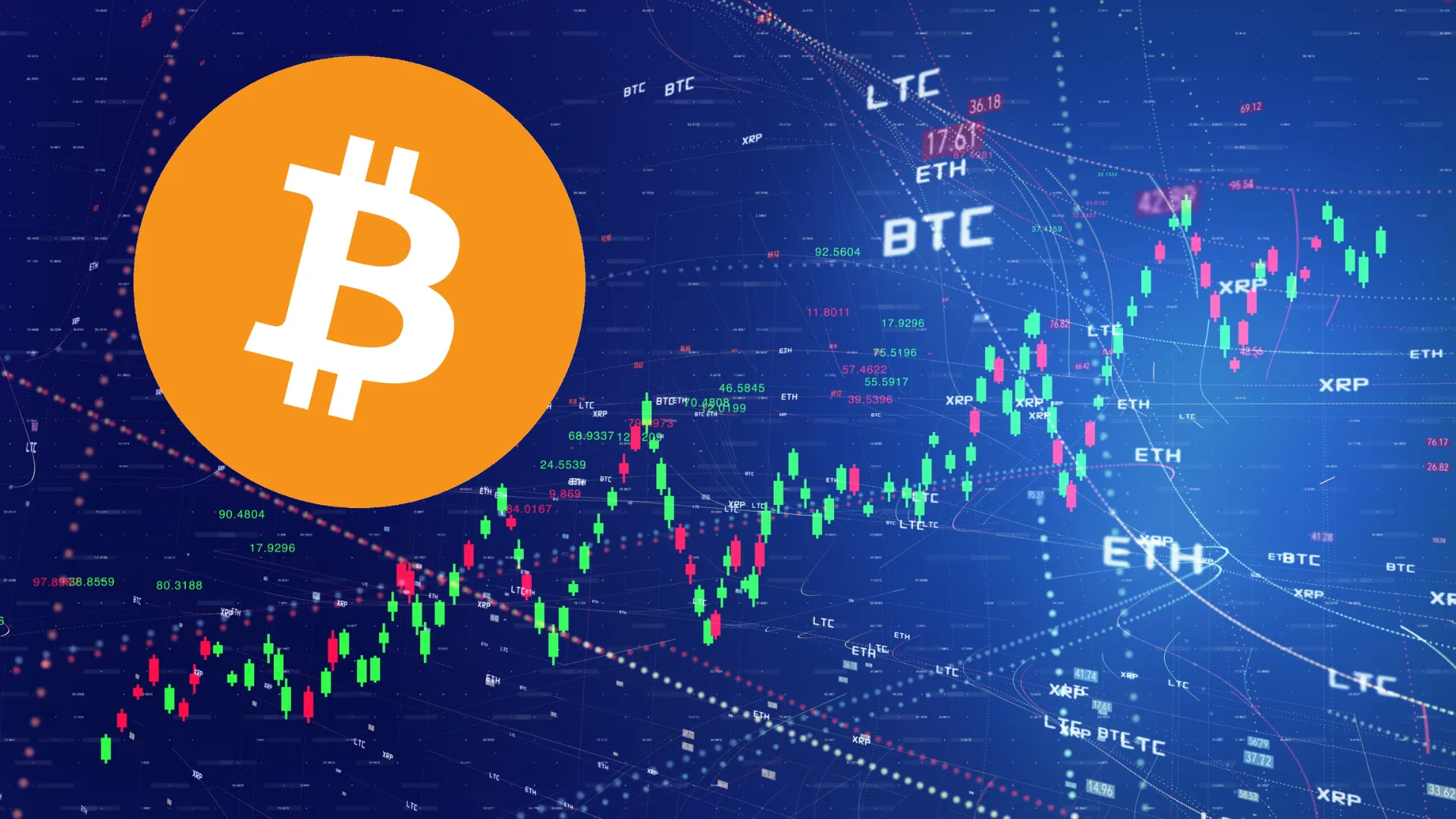 Wayex Weekly Wrap-Up 07/02/2025