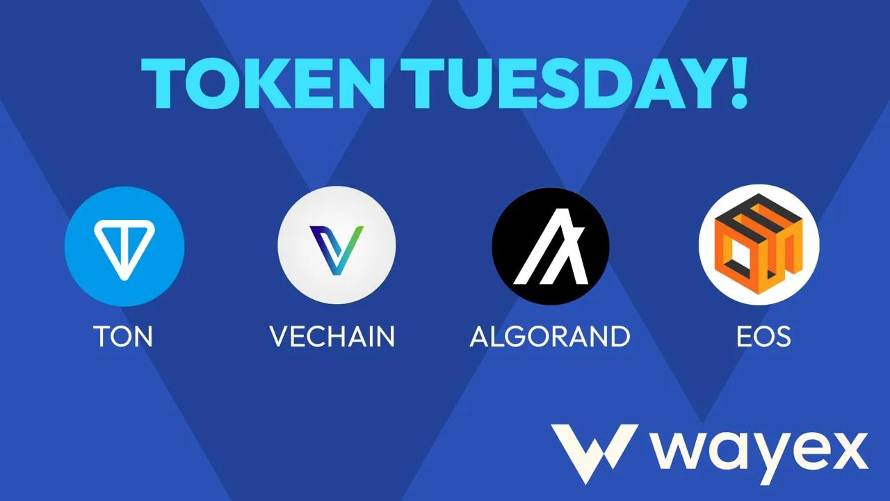 Wayex Weekly Wrap-Up 07/03/2025