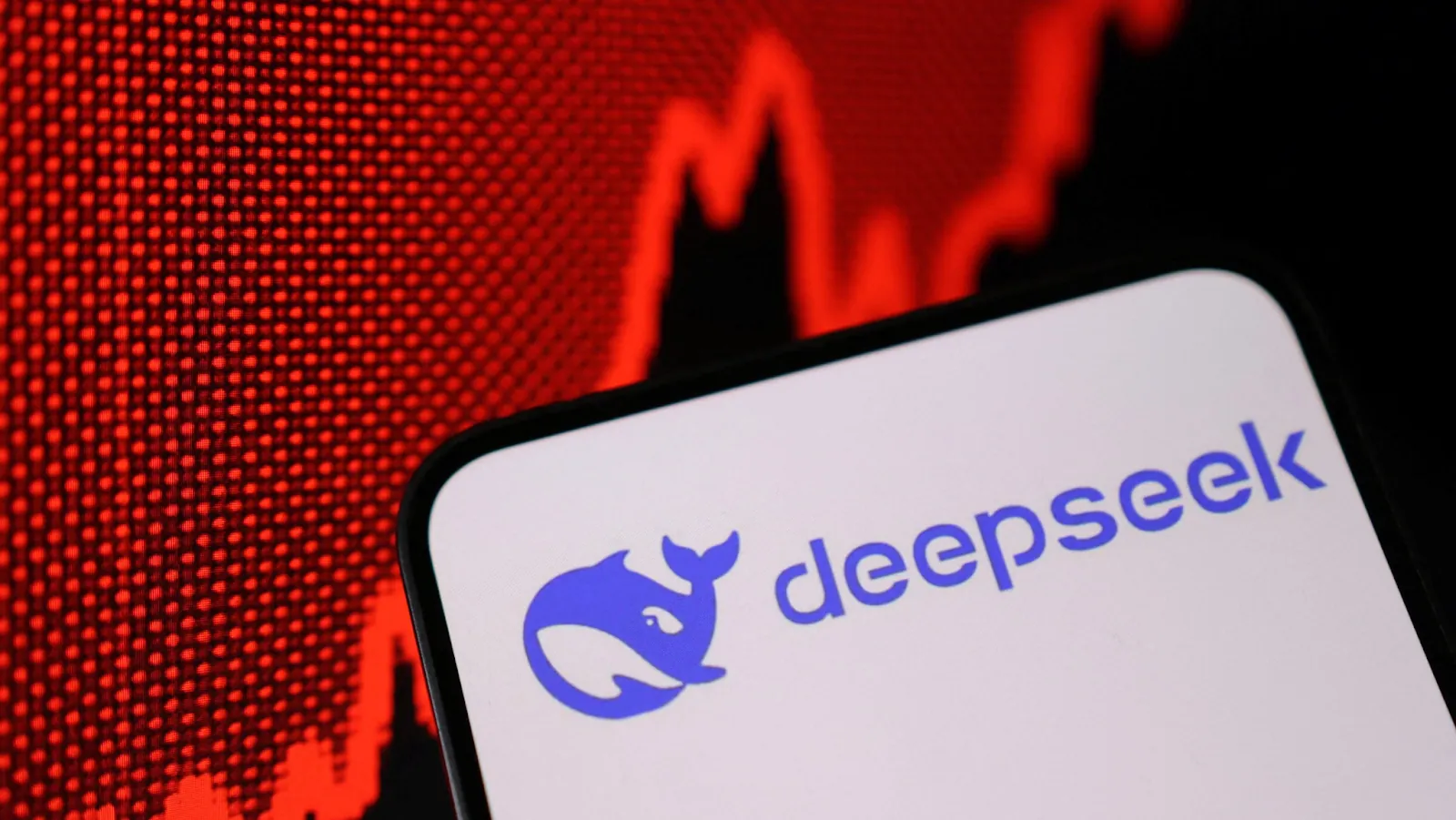 Wayex Weekly Wrap-Up 31/01/25