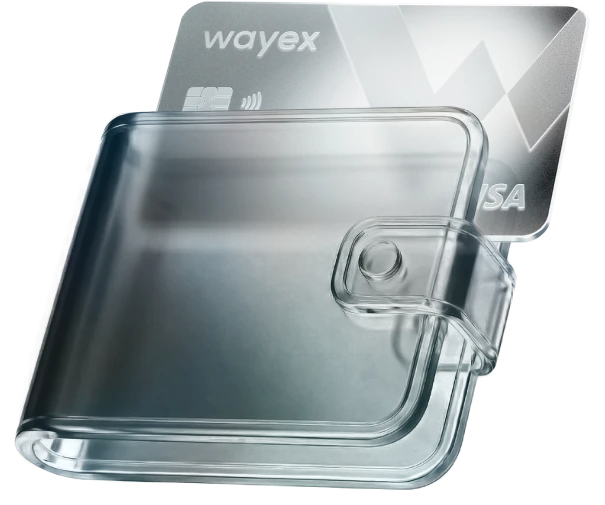 Wayex App Interface